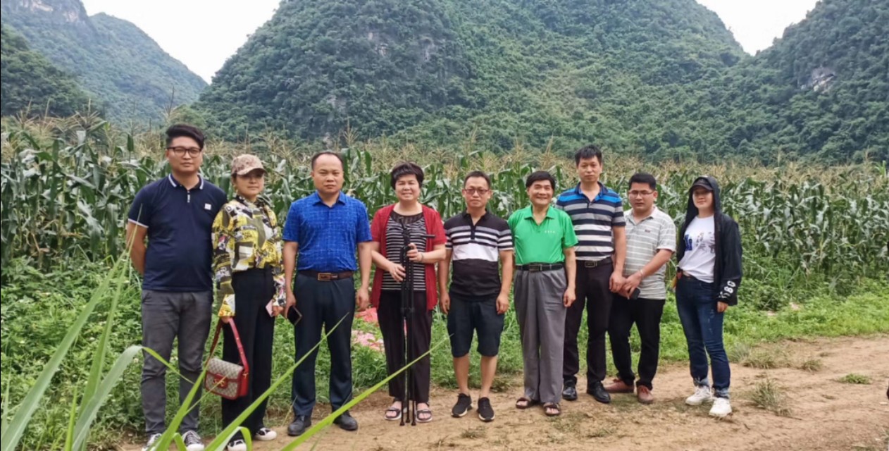 广西农特产品网网友是怎样分析米豆果蔬优质好吃原因的