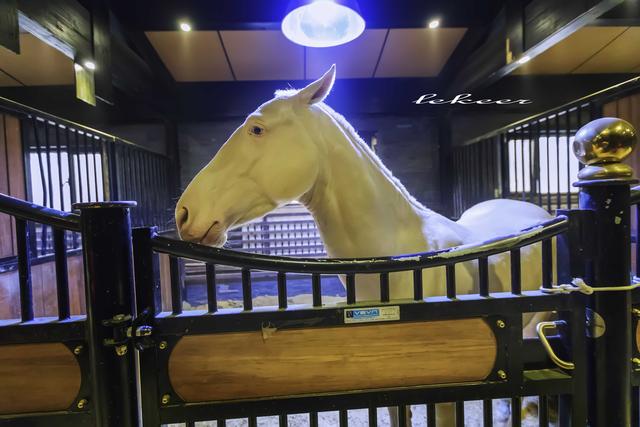 乌鲁木齐灯草沟滑雪,冰雪大世界滑雪体验