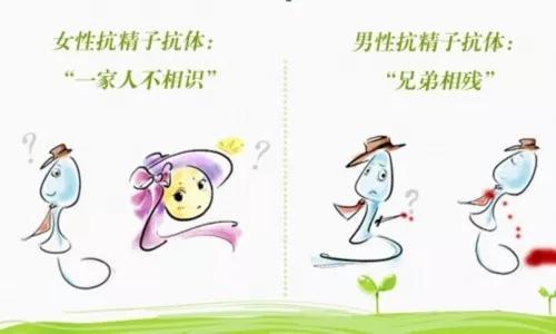 抗精子抗体弱阳性用什么药怎么治,有抗精子抗体会造成输卵管堵塞吗