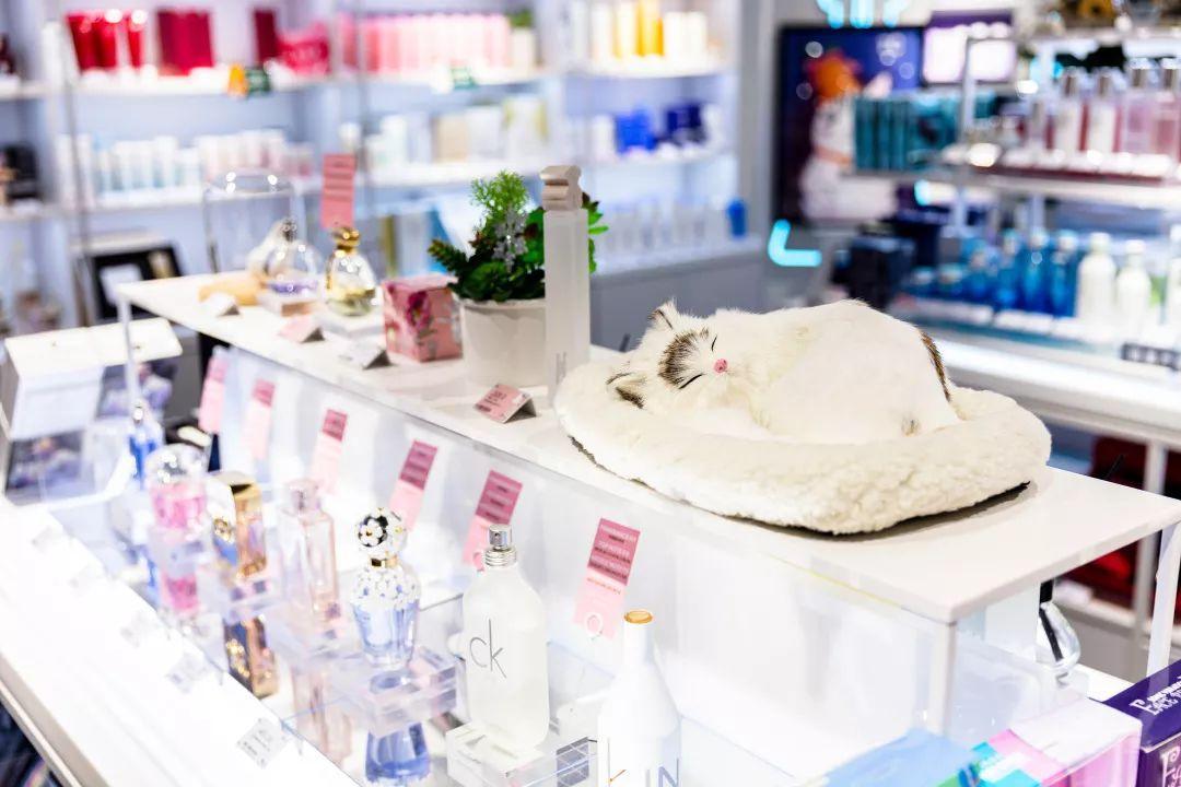 @所有猫控！万菱汇「猫咪美妆店」，任吸任摸！还有GD限量同款