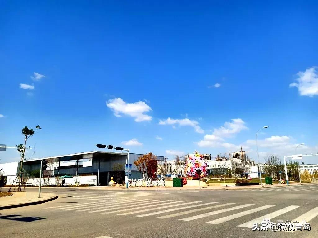 胶州经济开发区和少海片区对比,胶州经济技术开发区规划图