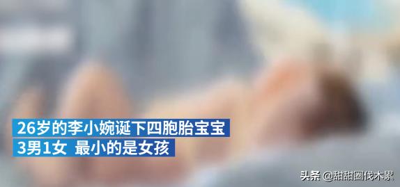 2017双胞胎男孩起名,为四胞胎取名怎么取的呢