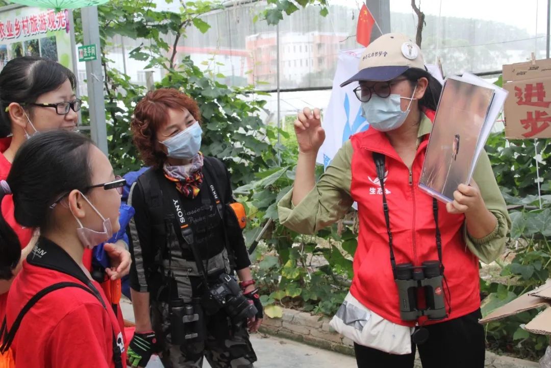 肇庆志愿者们,肇庆志愿者团队