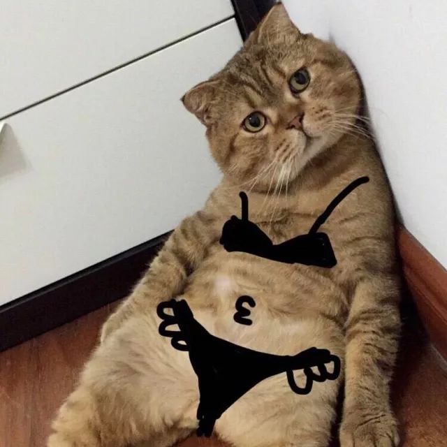 提前预知是否长妊娠纹,人身上妊娠纹