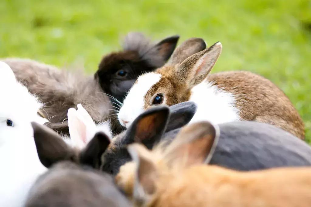 泰国泼水节狂欢六日游,泰国泼水节电音节攻略