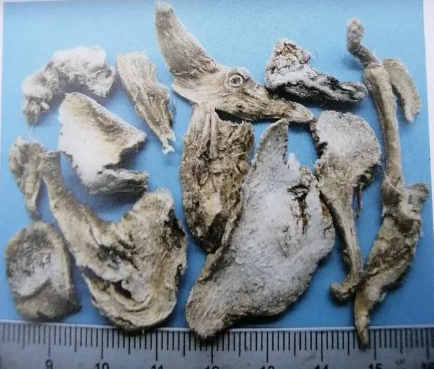 收敛止血的中成药有哪些,止血收敛的药有哪些