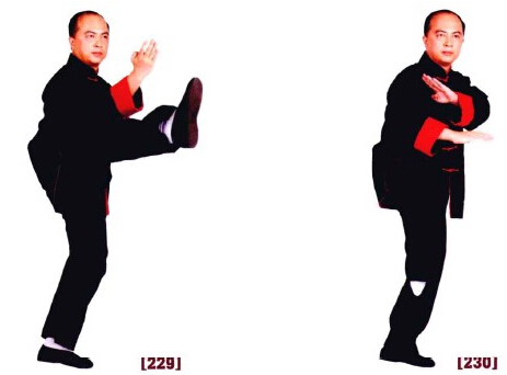 咏春拳入门十二散手,咏春拳标指教学视频