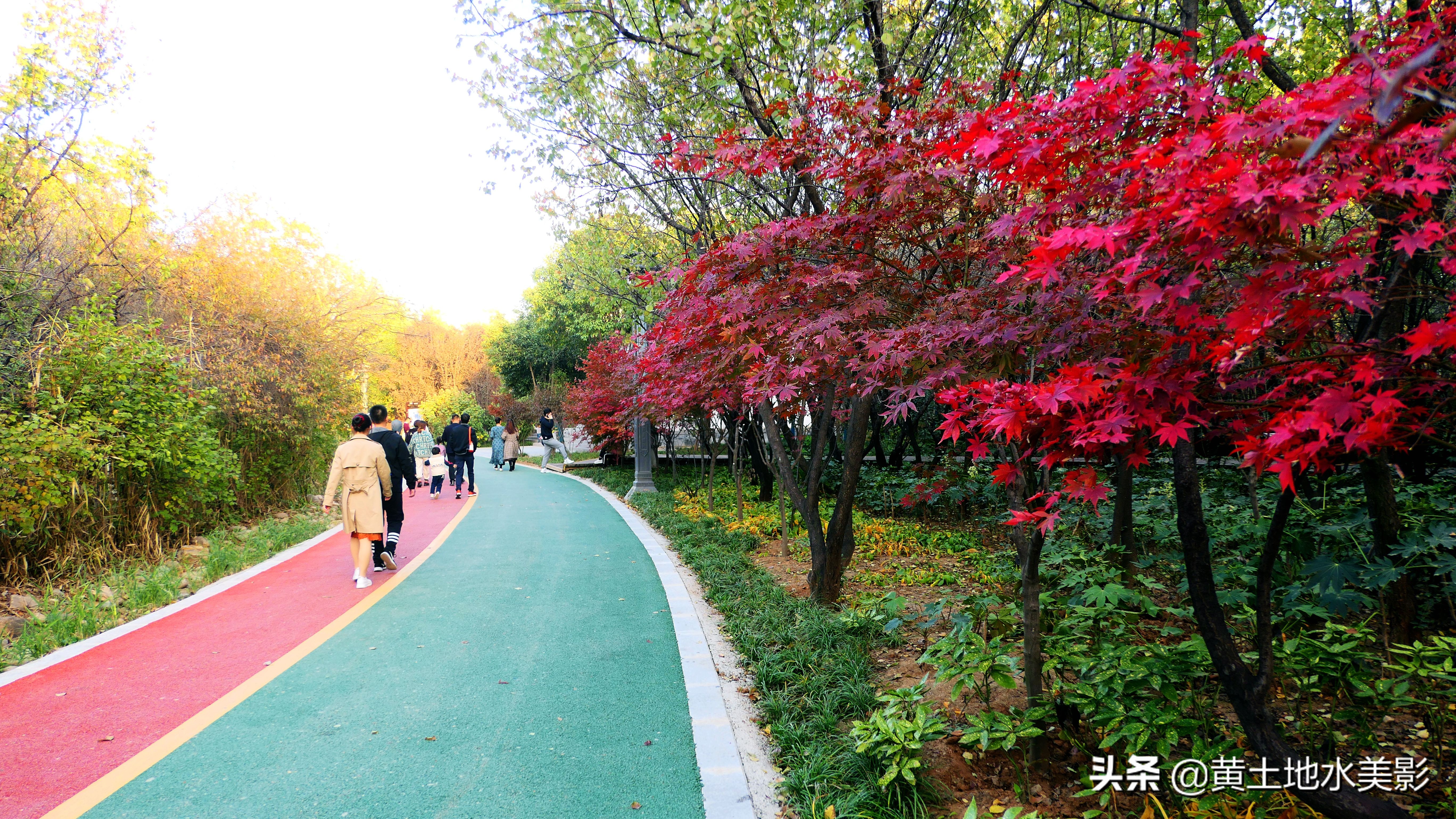 免费游玩东湖公园攻略,游玩国家湿地野鸭湖