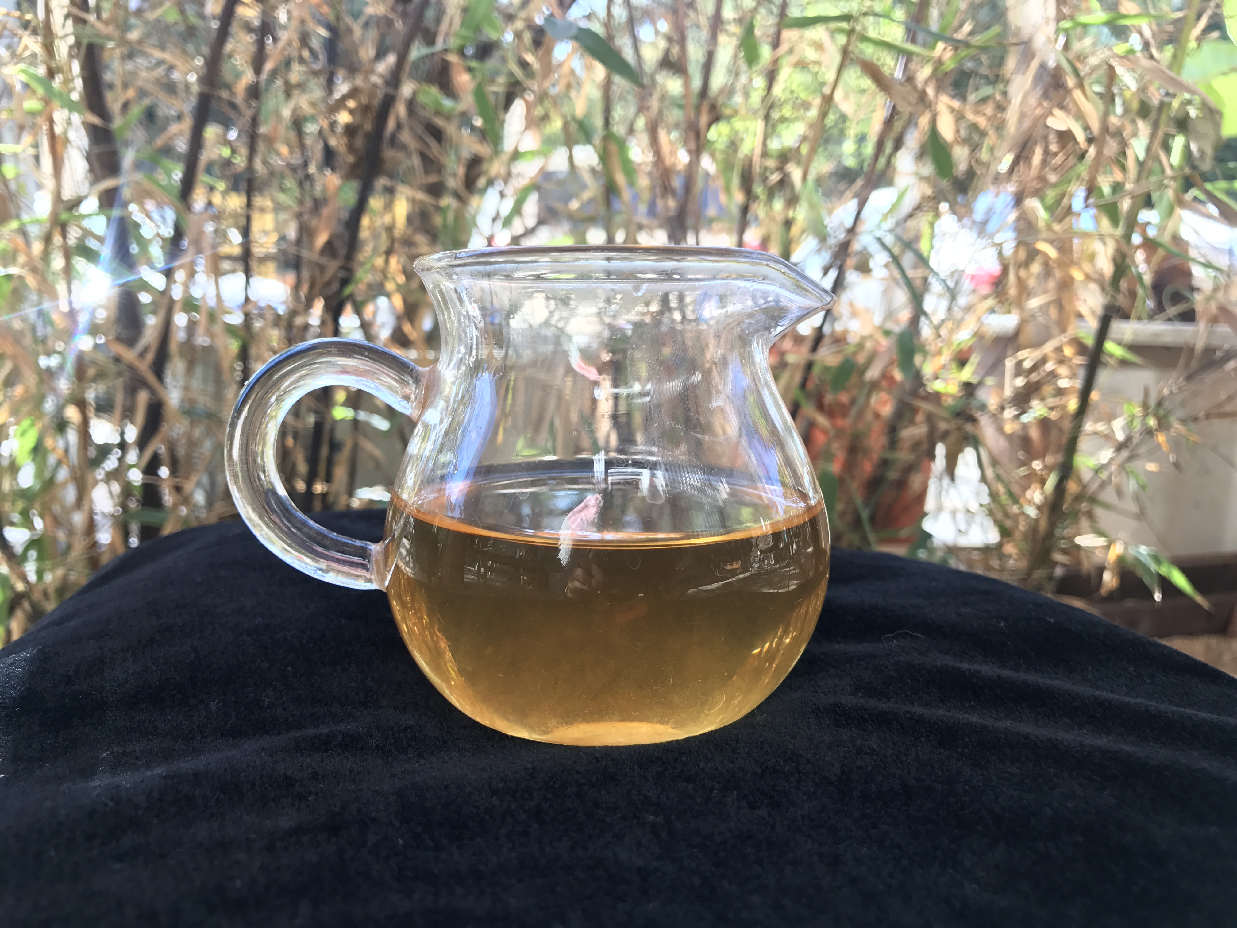 03年凤牌甲级沱茶,老徐鉴茶第二十五期