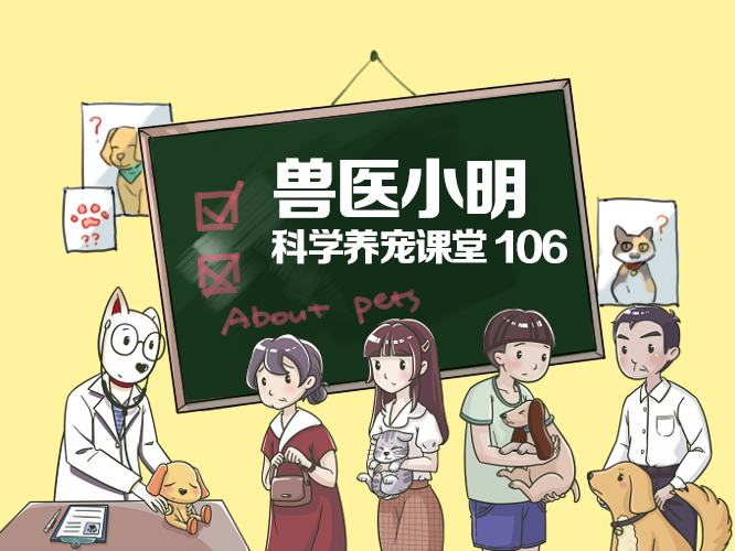 新生小狗患犬疱疹怎么治疗,刚出生22天的小狗疱疹怎么引起的