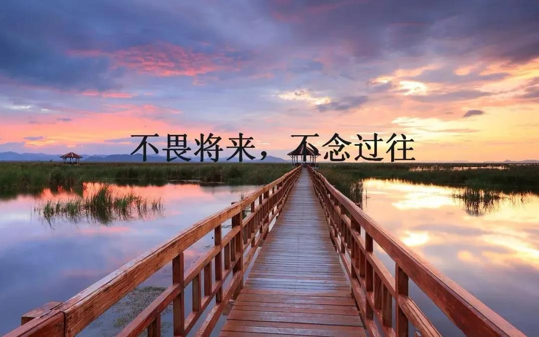 致自己无话可说的句子,致自己冷暖自知的句子