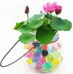 水宝宝到底有没有毒,水宝宝珠子有毒吗