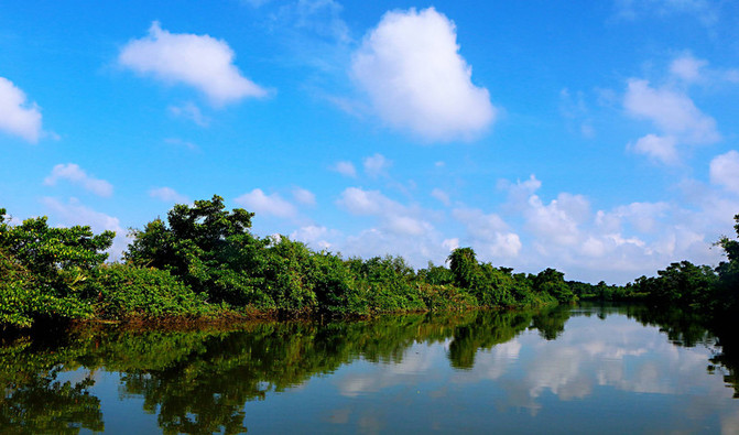 在这个阳光明媚的春季,在这个阳光灿烂的日子里