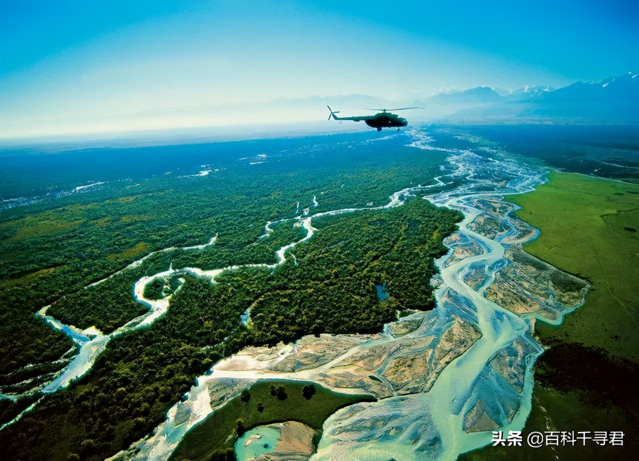 最大内陆国计划让里海虎“秽土转生”,莱昂纳多曾发文支持