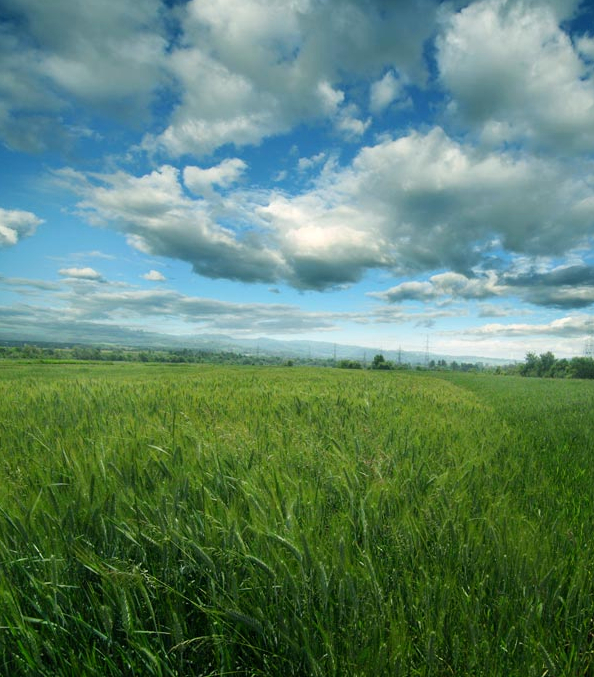 ps教程第62节图层混合选项,ps教程图层混合式模式讲解