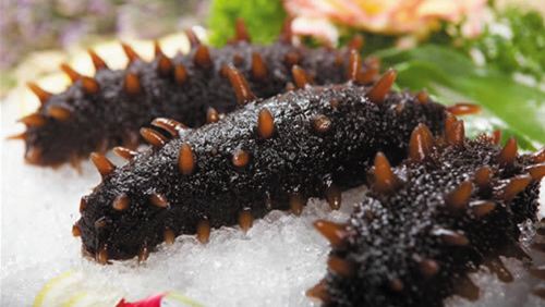 大连野生即食海参多少钱一斤,大连野生盐渍海参的价格