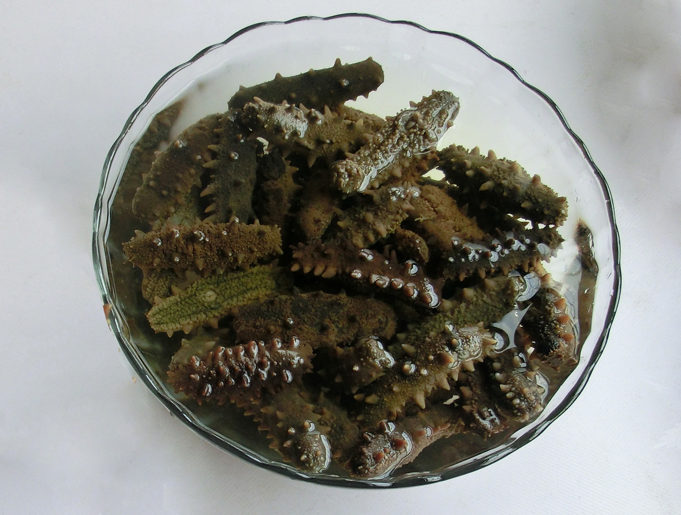 海参怎这么贵呢,海参的正确泡发方法和做法