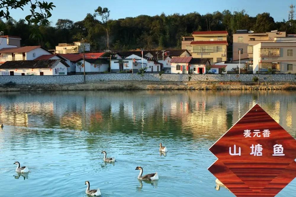 楹﹀厓鎽勫奖,楹﹀厓瑙嗛