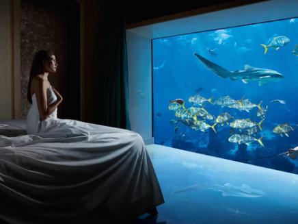 自然奇观水下世界,水下世界非常神秘而美丽