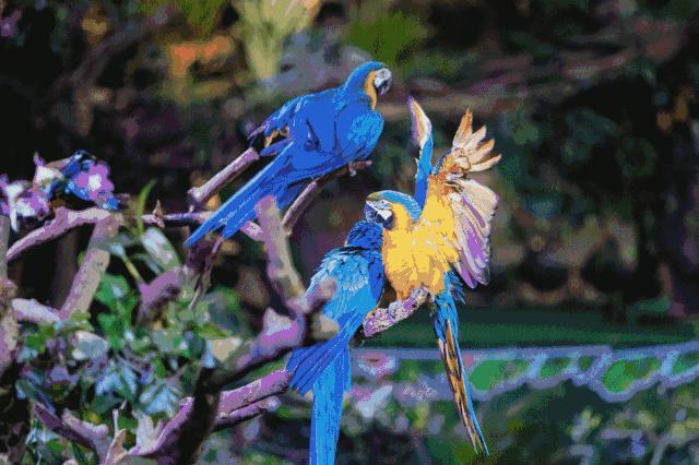 暑假掂过？种草广州长隆野生动物世界！零距离接触动物