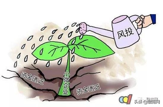 投资gplp什么意思,风投lp是什么意思