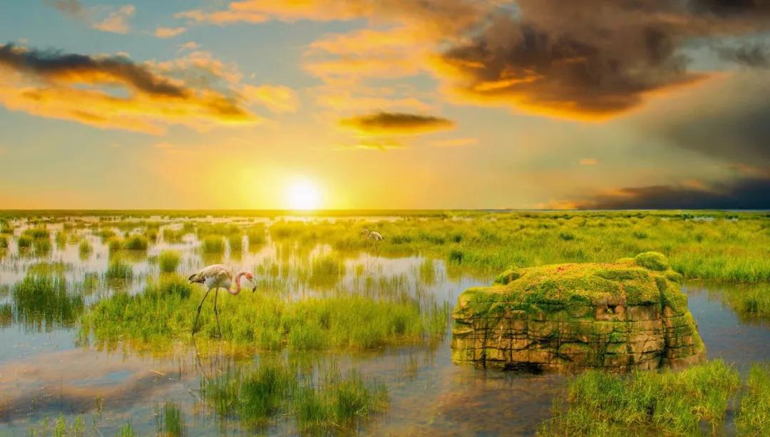 100句激励人心的励志诗句,励志诗词名句朗诵