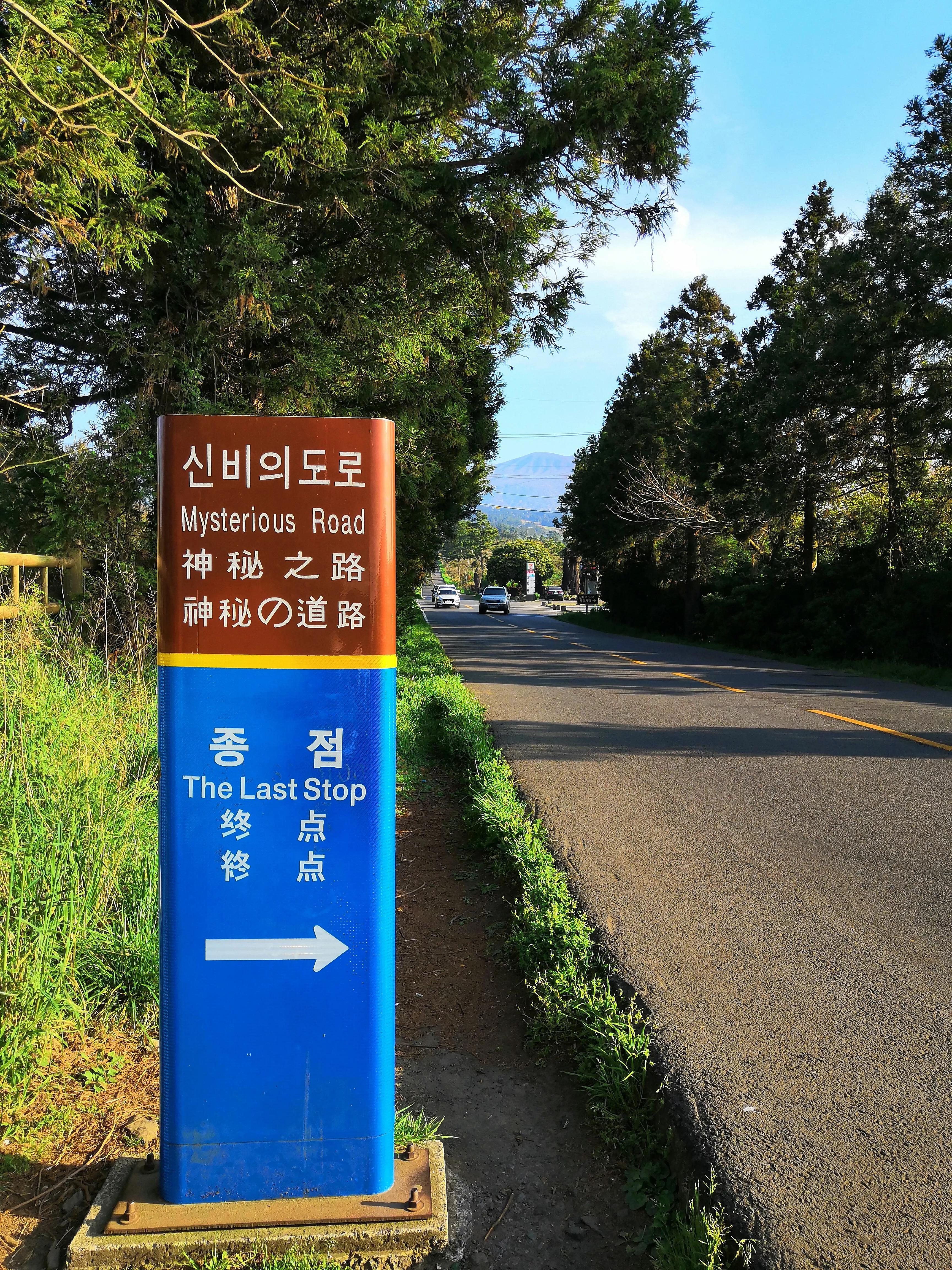 在济州岛发呆的日子,济州岛散心