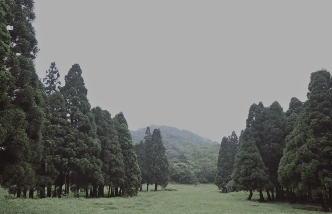 北流大容山森林公园露营,广西森林露营最佳的十大地点