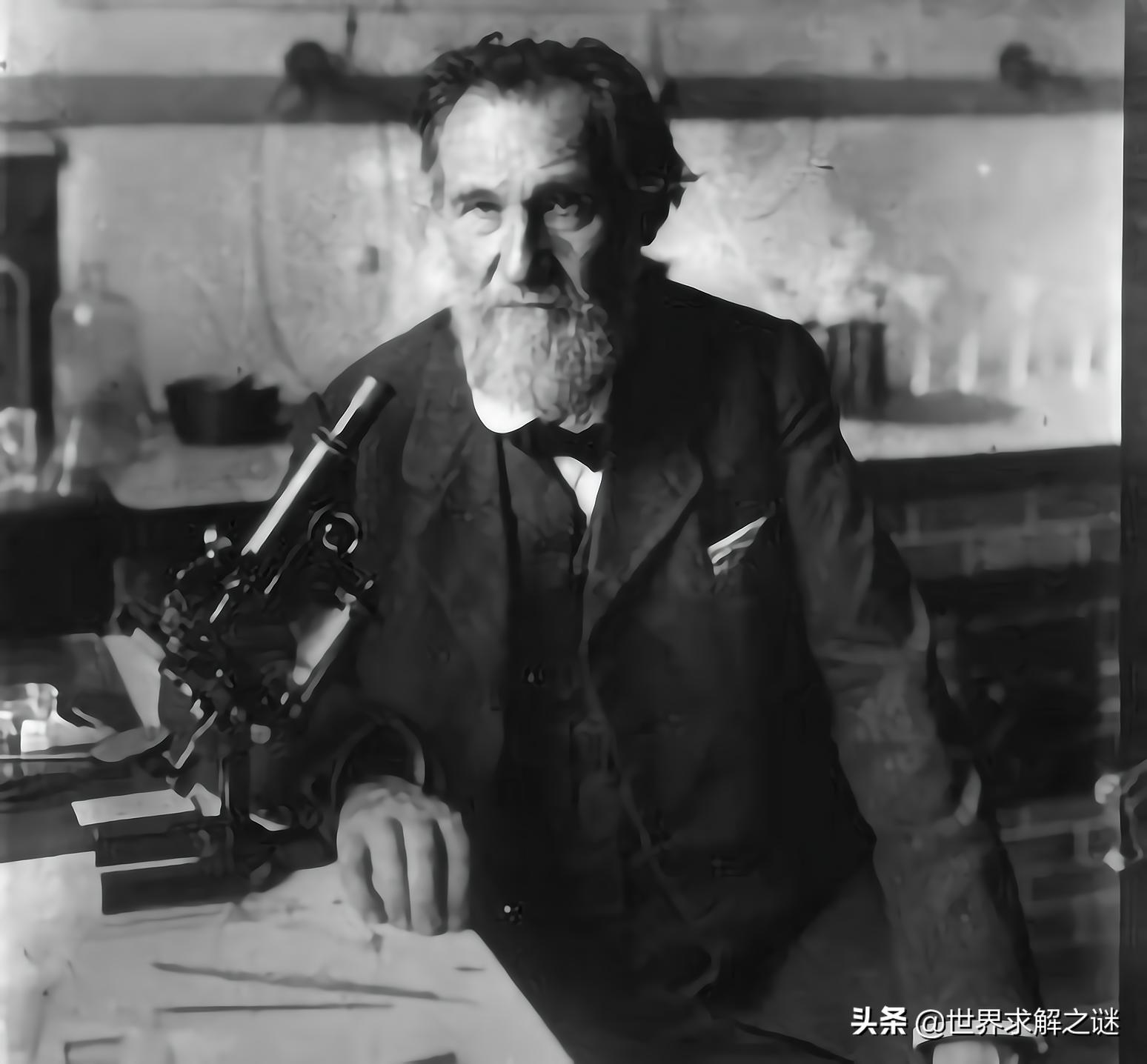 苏联黑猩猩能有后代吗,黑猩猩和红毛猩猩有后代吗