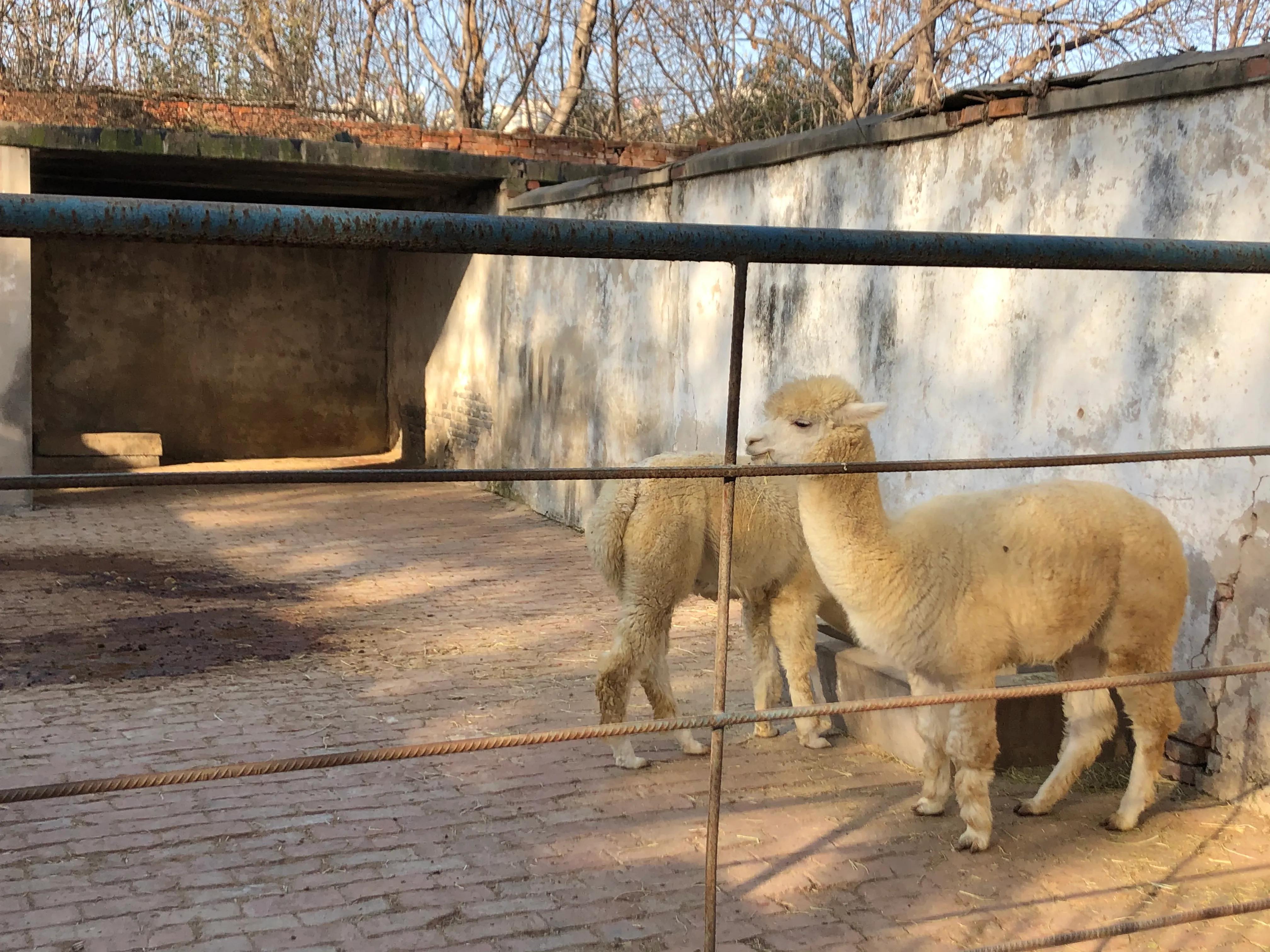 平顶山河滨公园旅游攻略,平顶山森林公园游记