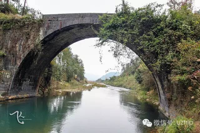 桂林兴安漠川银杏最佳观赏时间,桂林兴安漠川银杏网红打卡地