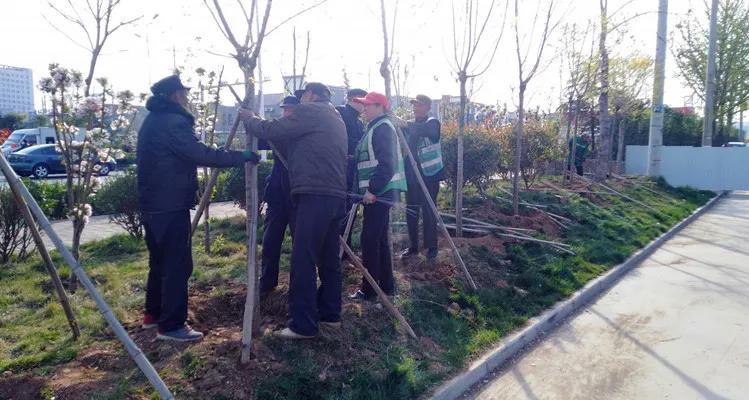 花团锦簇的峰峰是怎样炼成的？是时候告诉你真相了