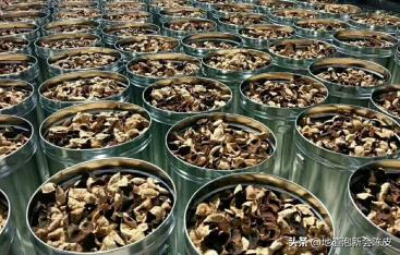 从新会买回当年的陈皮如何保存,新晒的新会陈皮怎样保管才会陈化