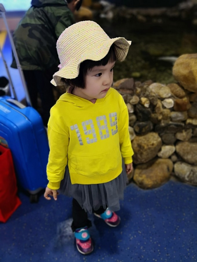 三亚新年自由行,一个人的旅行三亚之旅