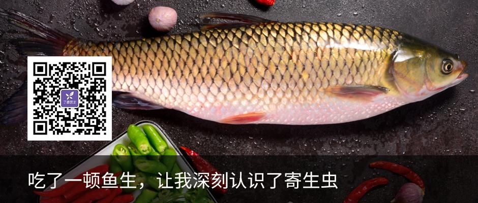 刺身吃多了寄生虫,吃刺身吃到寄生虫会有什么感觉