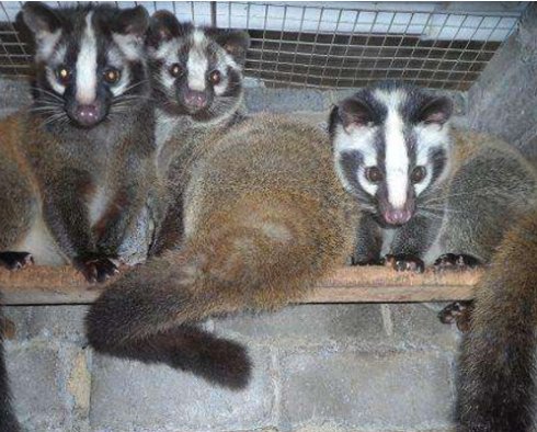 运城市畜牧兽医发展中心,畜牧局包点村扶贫工作方案