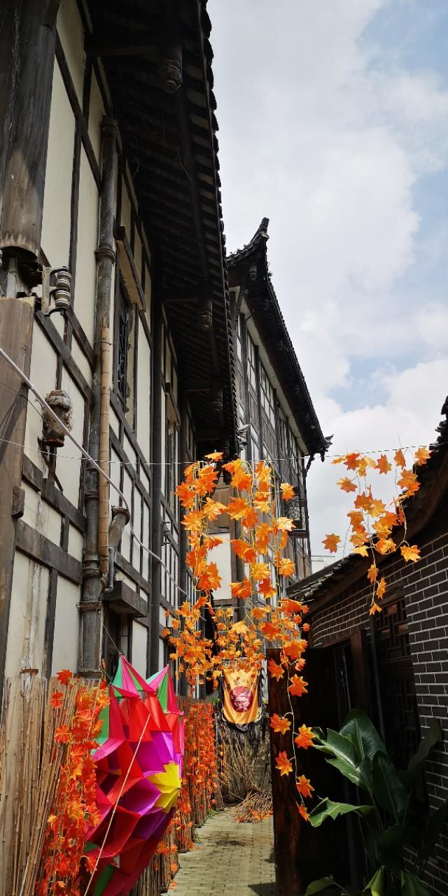 香港西贡游记下,香港最后一天去哪玩好