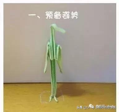 用千纸鹤糖纸做千纸鹤慢教程,不一样的纸鹤折纸