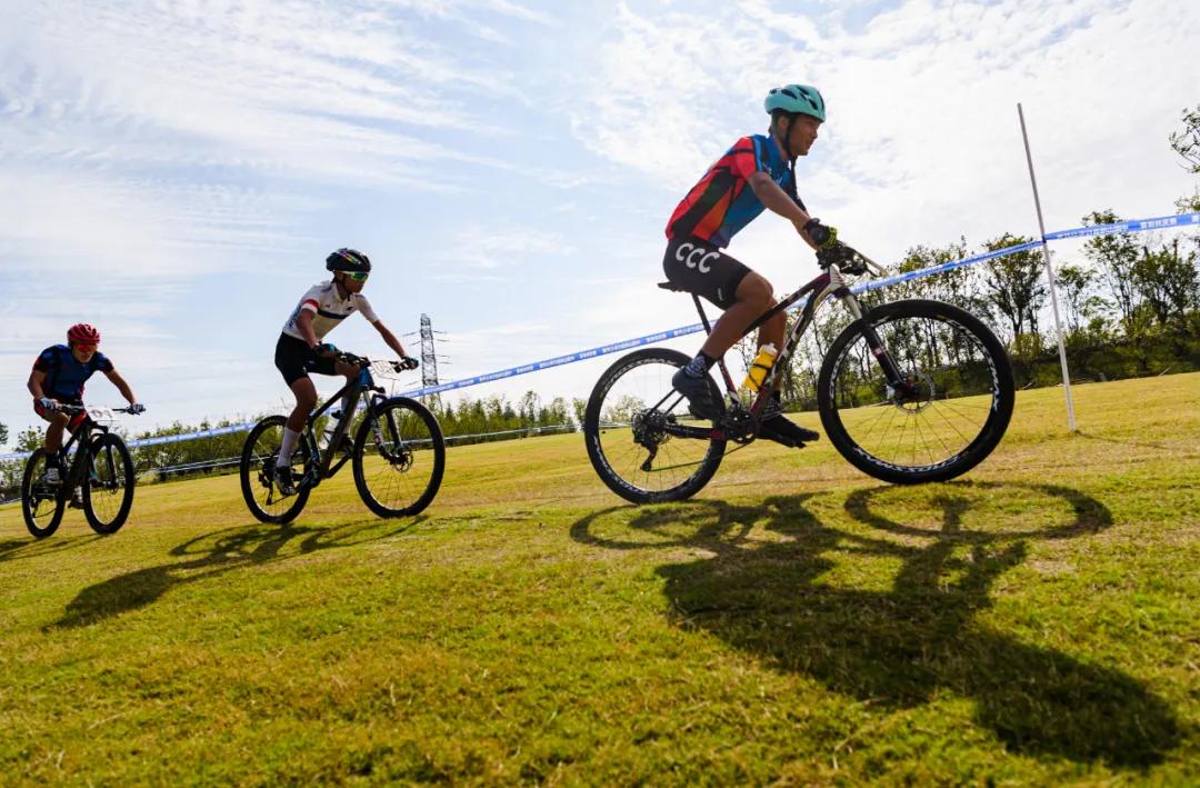 国家网信办处置违法账号,国家网信办回应网络乱象