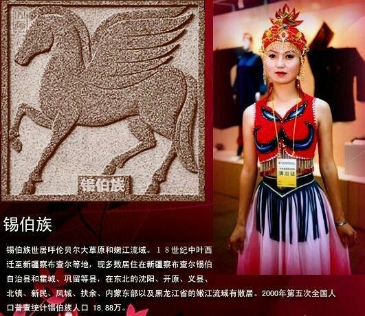 油管看中国56个民族传统服饰,56个民族女性服饰图片大全