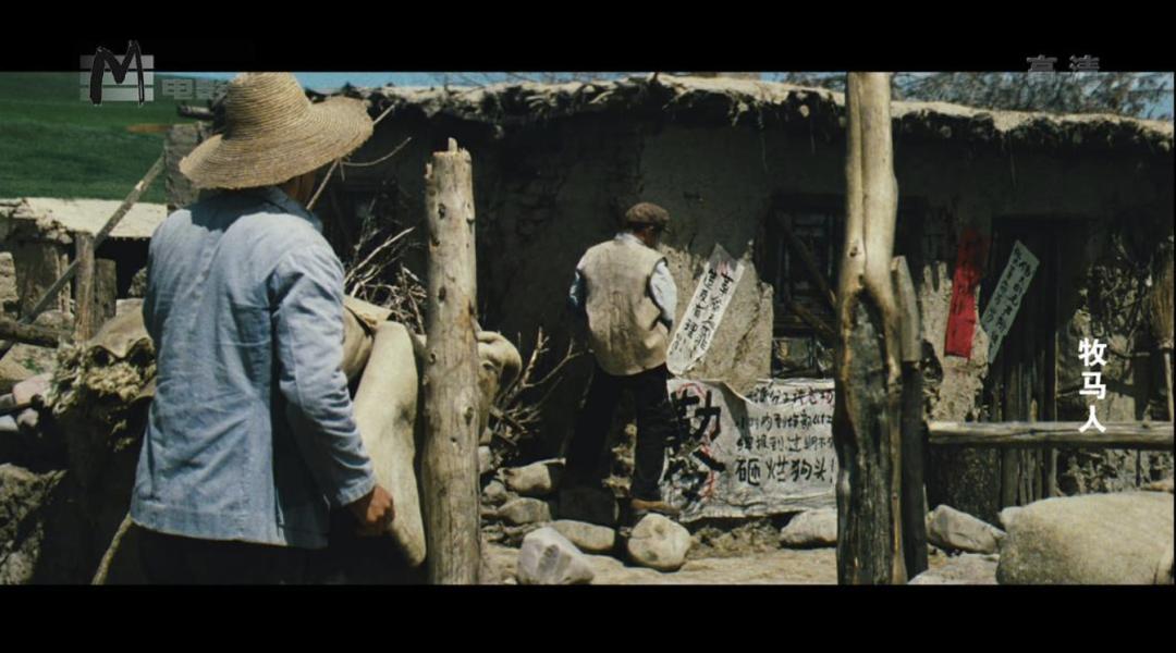 经历过荒唐的年代，你会选择成为亿万富翁还是继续草原牧马？