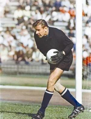 足坛十大门神排名,足坛十大门神视频