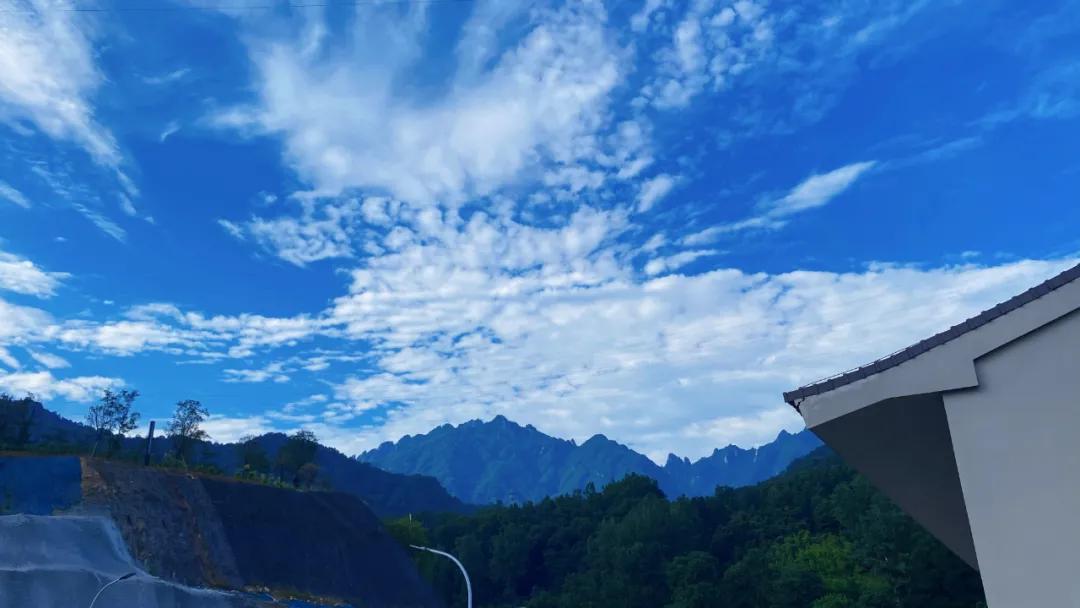 春树影舍畅享年卡，电影酒店+民宿，七夕送爱奇艺年卡会员等豪礼