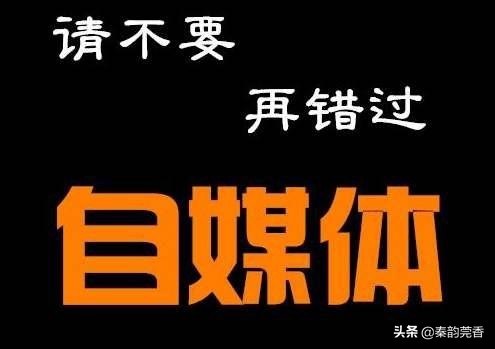 头条百家企鹅大鱼哪个好做,同时做头条百家企鹅好做吗