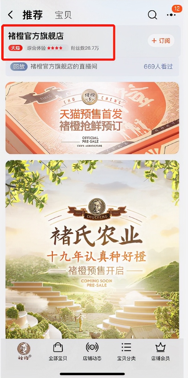 网络购物诉讼维权,网络购物的诉讼解决方式