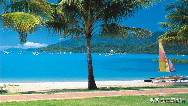 看淡世事沧桑内心安然无恙歌曲,看淡世事沧桑内心安然无恙书籍