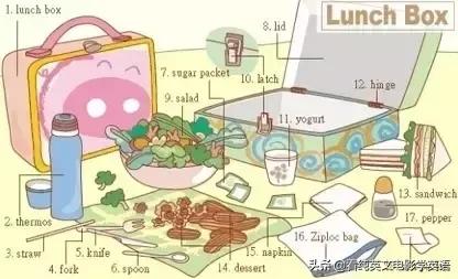 36张图让孩子记住所有英语,超实用的英语词汇图英语学习必备