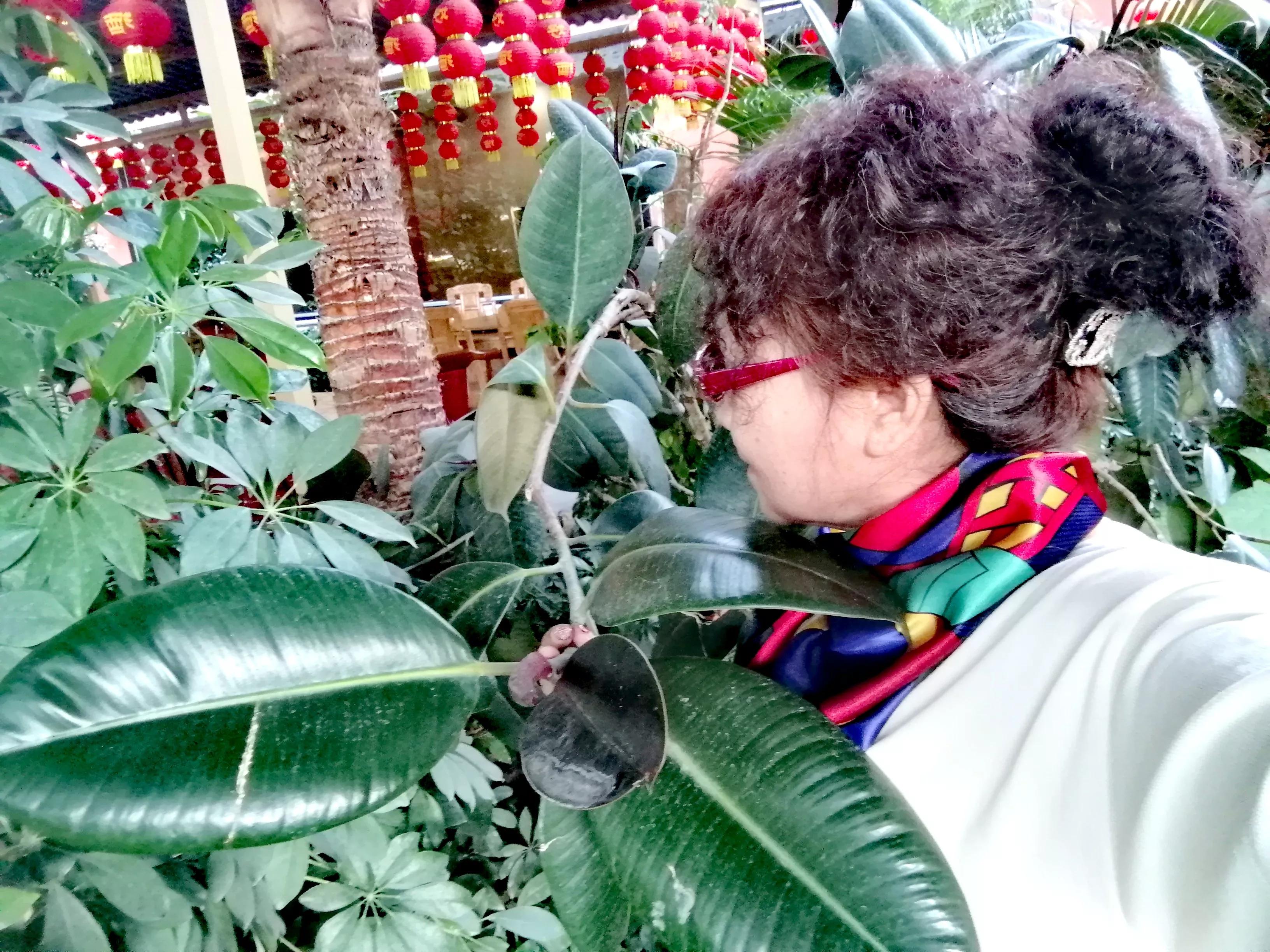 敦煌海盛山庄电话,这里是敦煌民宿