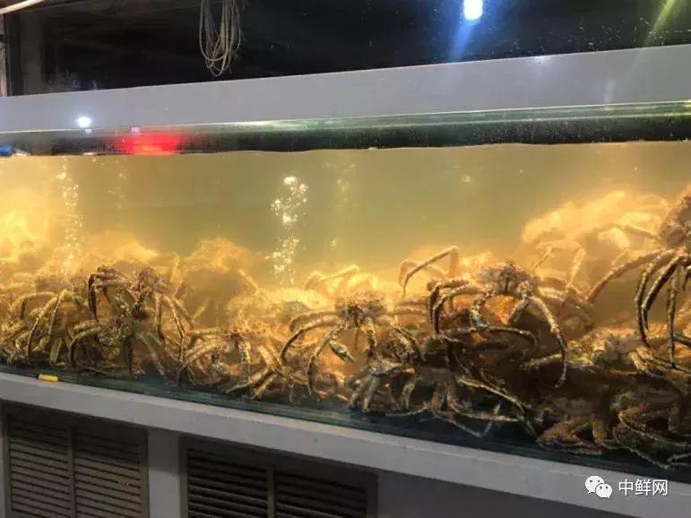 中秋营销水产篇，如何稳中求胜创佳绩？