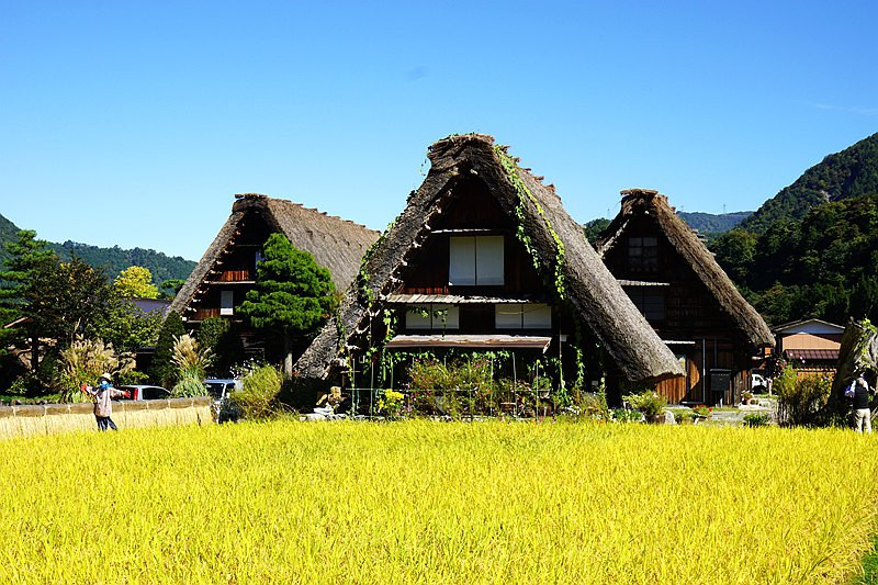 五天三晚之邂逅名古屋，新奇的日本之旅